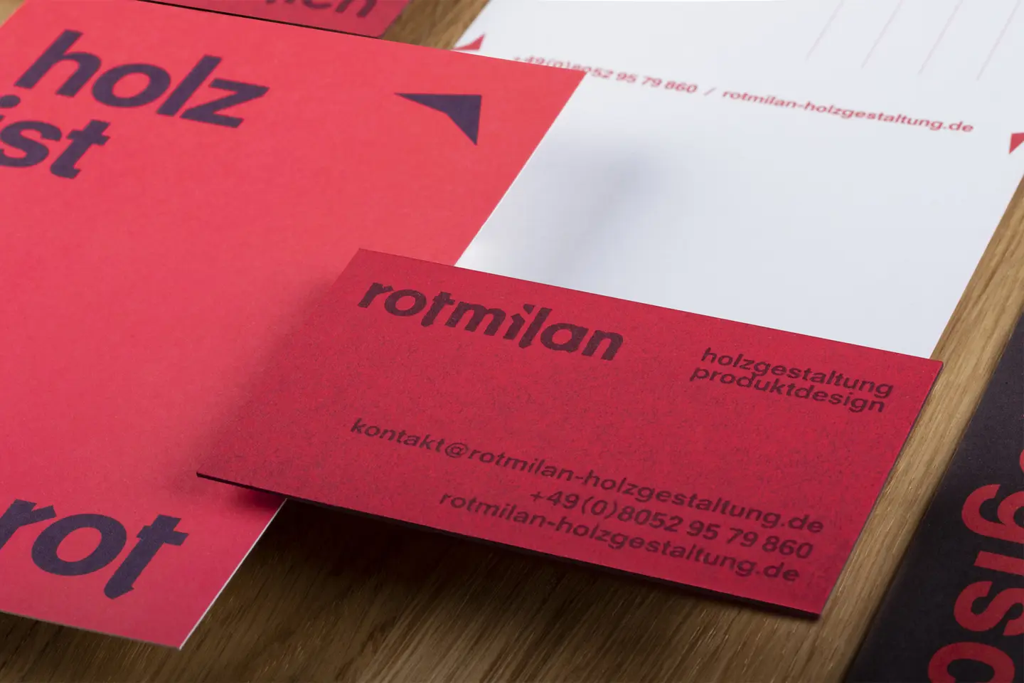 Rotmilan 08