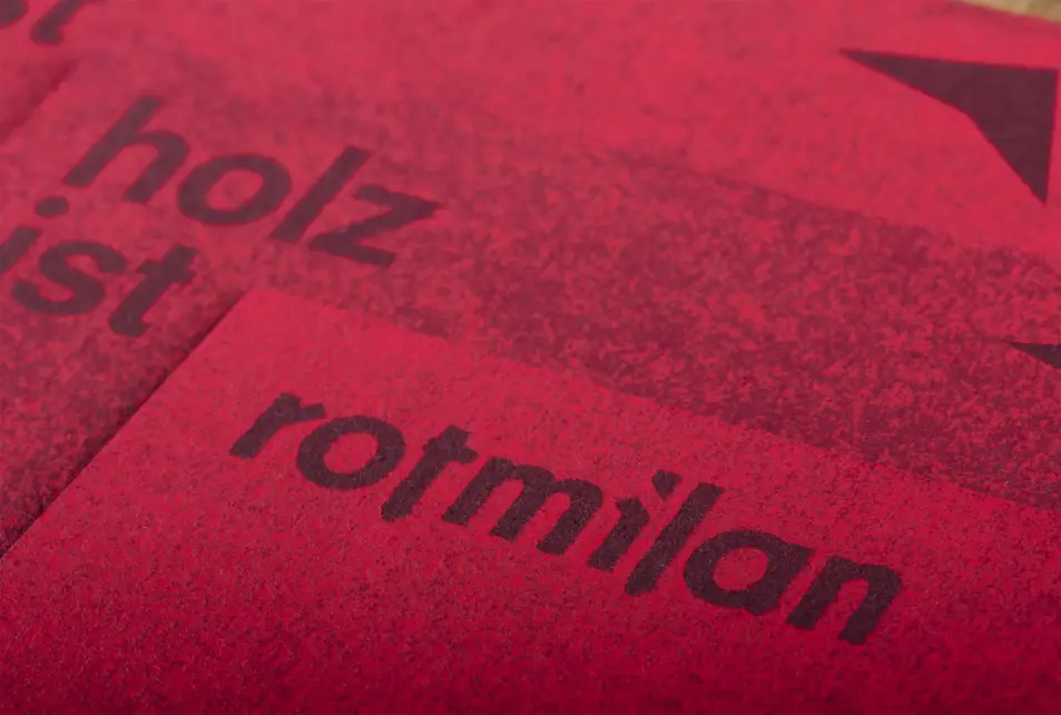 Rotmilan 04